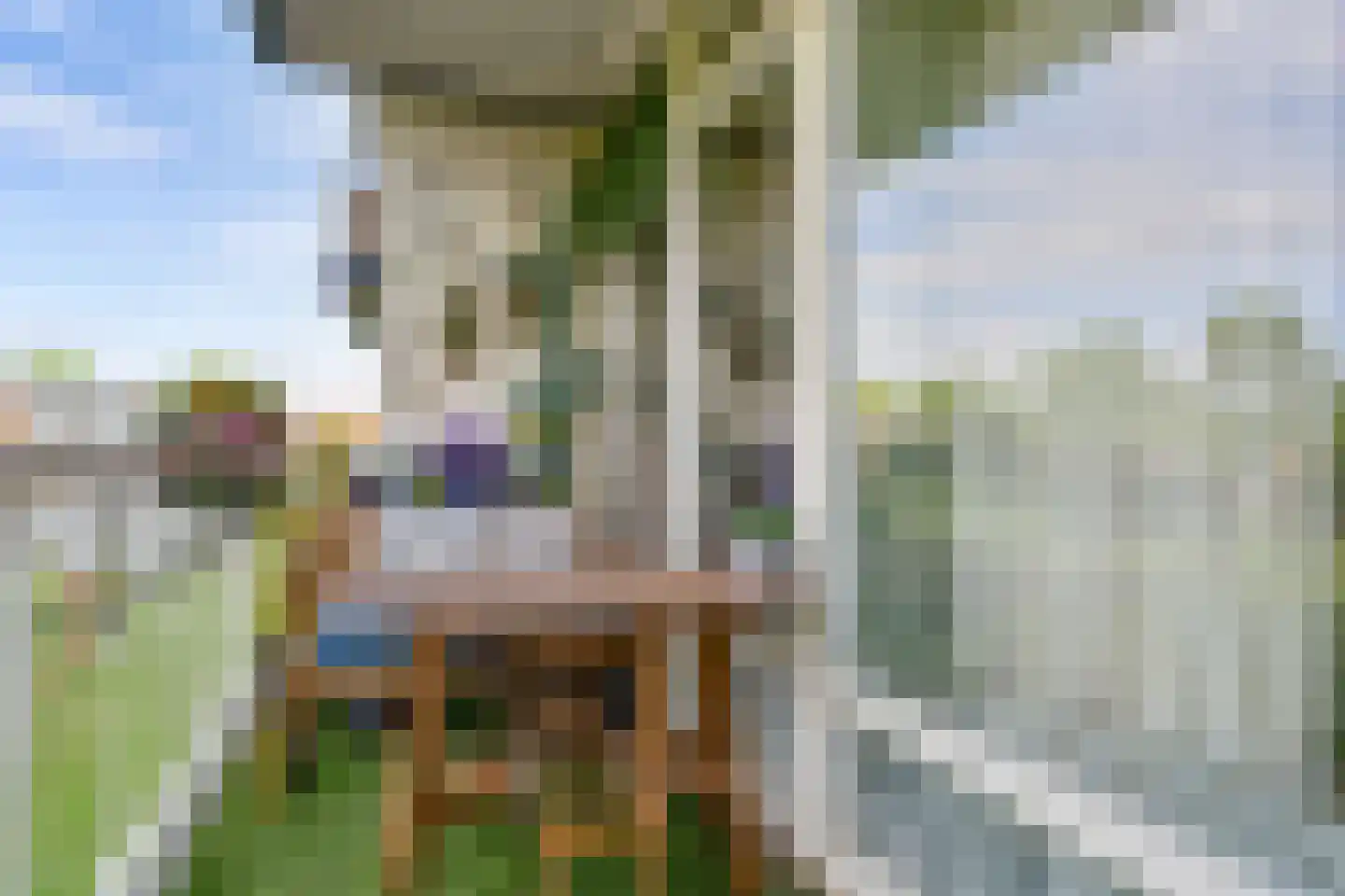 Hesselsstraat 87 's-Hertogenbosch thumbnail 16