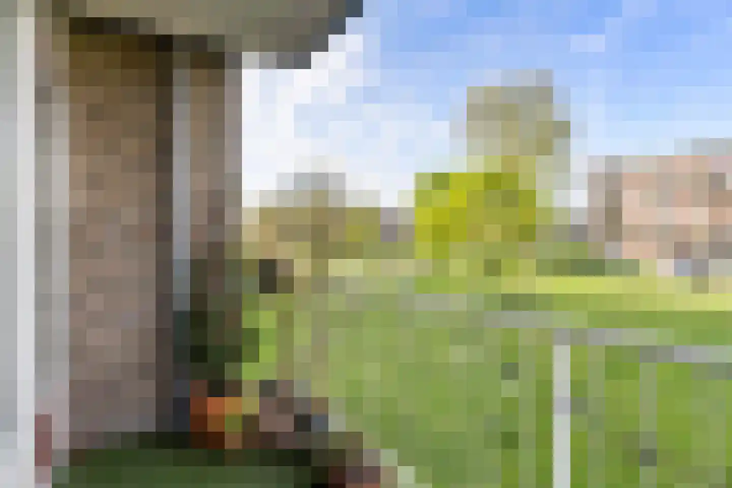 Hesselsstraat 87 's-Hertogenbosch thumbnail 17