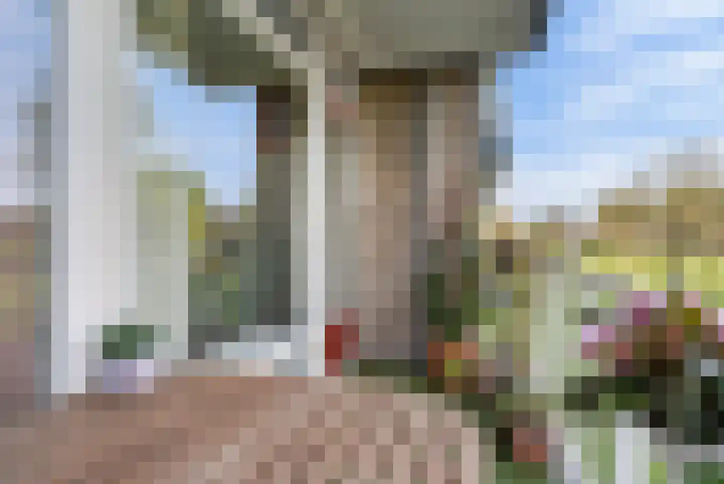 Hesselsstraat 87 's-Hertogenbosch thumbnail 18