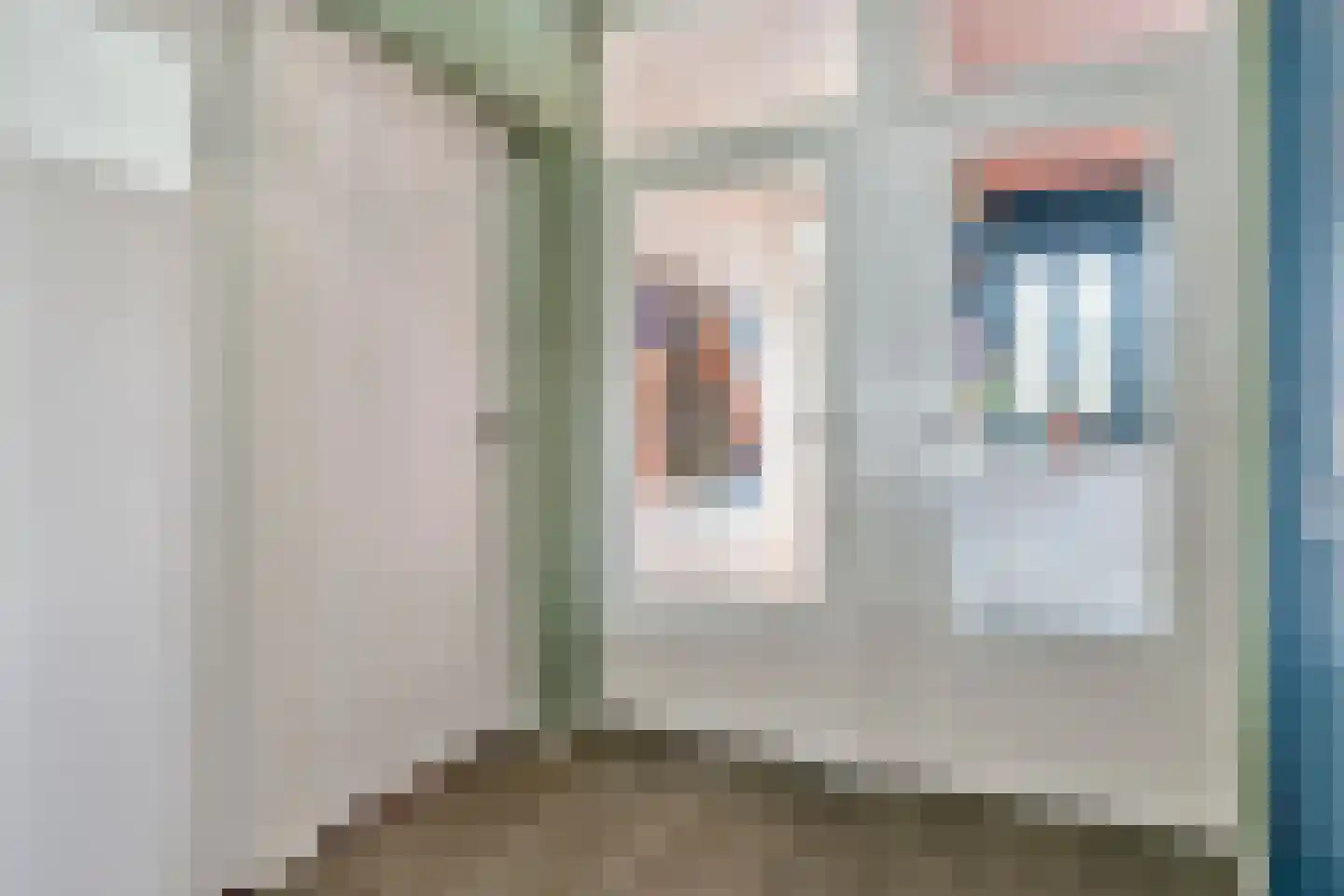 Hesselsstraat 87 's-Hertogenbosch thumbnail 31