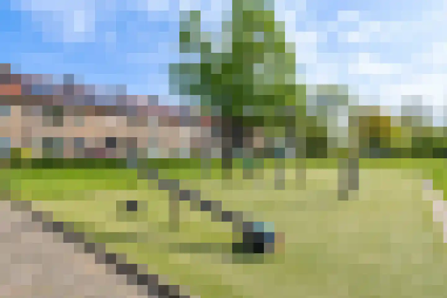 Hesselsstraat 87 's-Hertogenbosch thumbnail 34