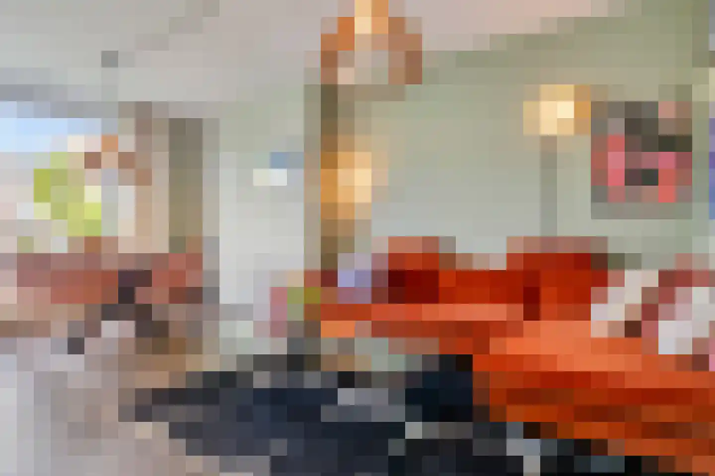 Hesselsstraat 87 's-Hertogenbosch thumbnail 9