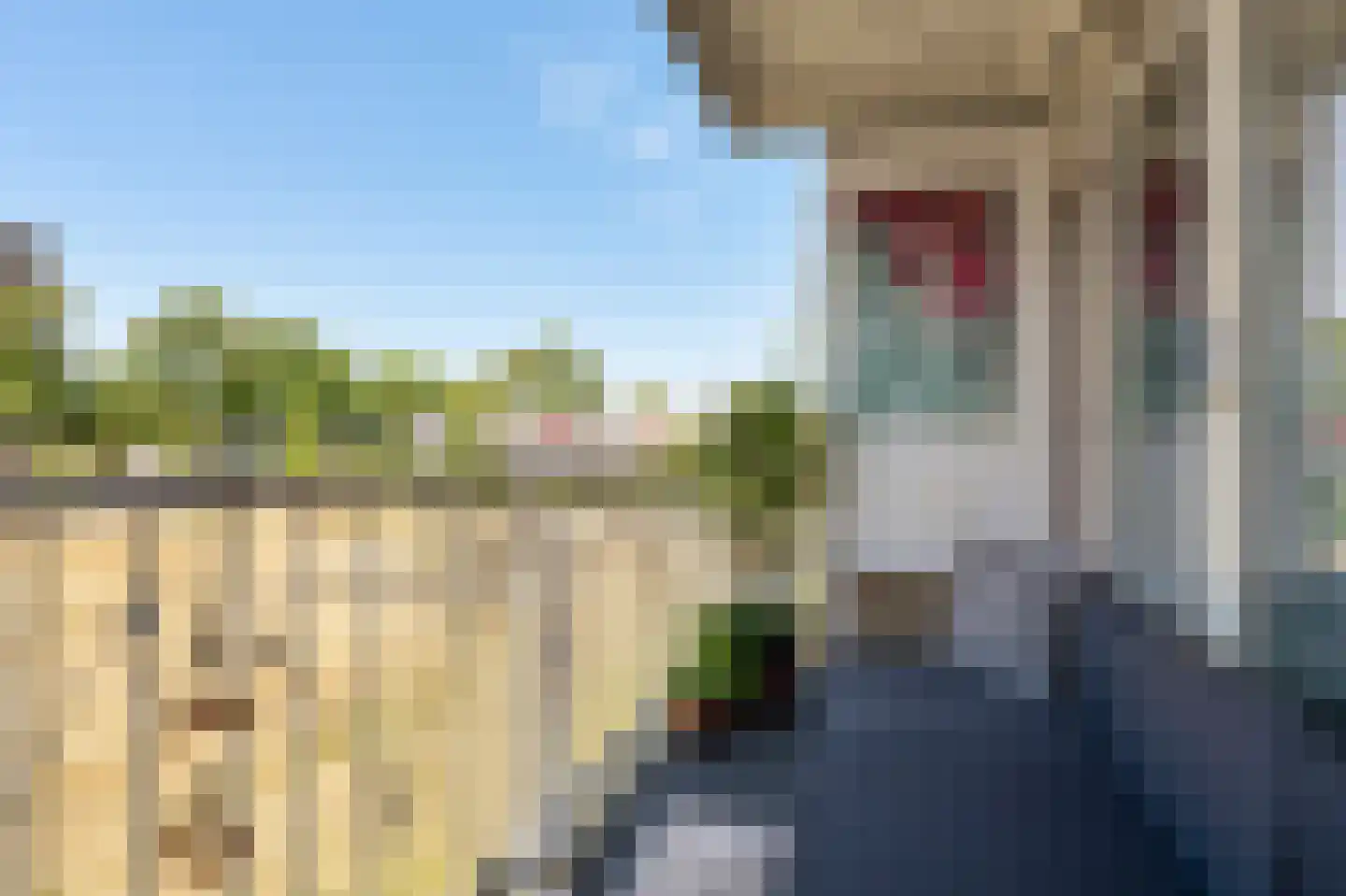 Hesselsstraat 89 's-Hertogenbosch thumbnail 10