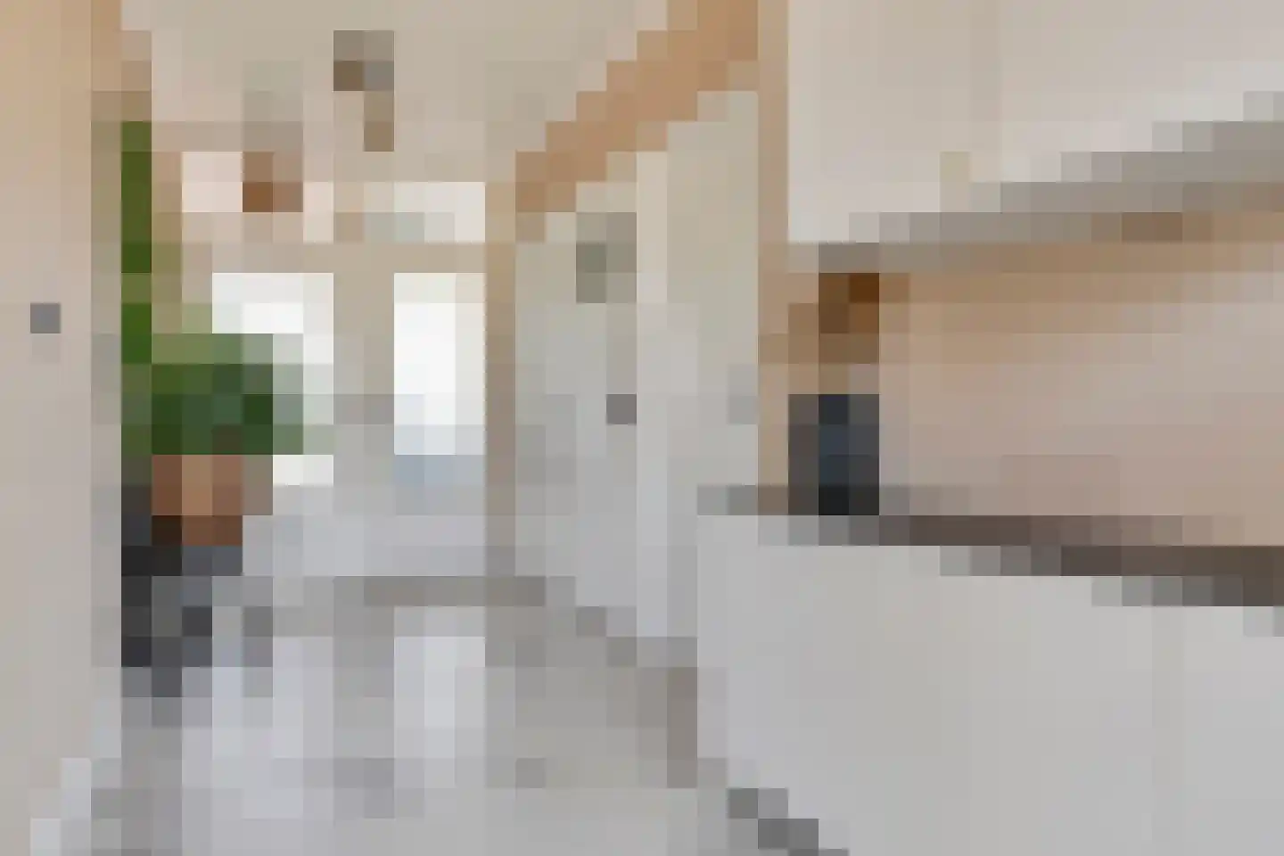 Hesselsstraat 89 's-Hertogenbosch thumbnail 12