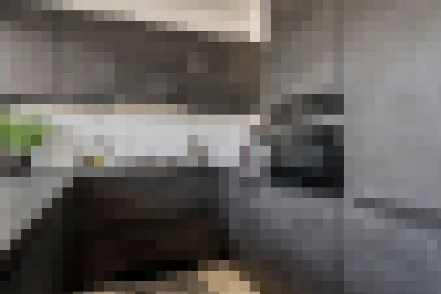 Hesselsstraat 89 's-Hertogenbosch thumbnail 15