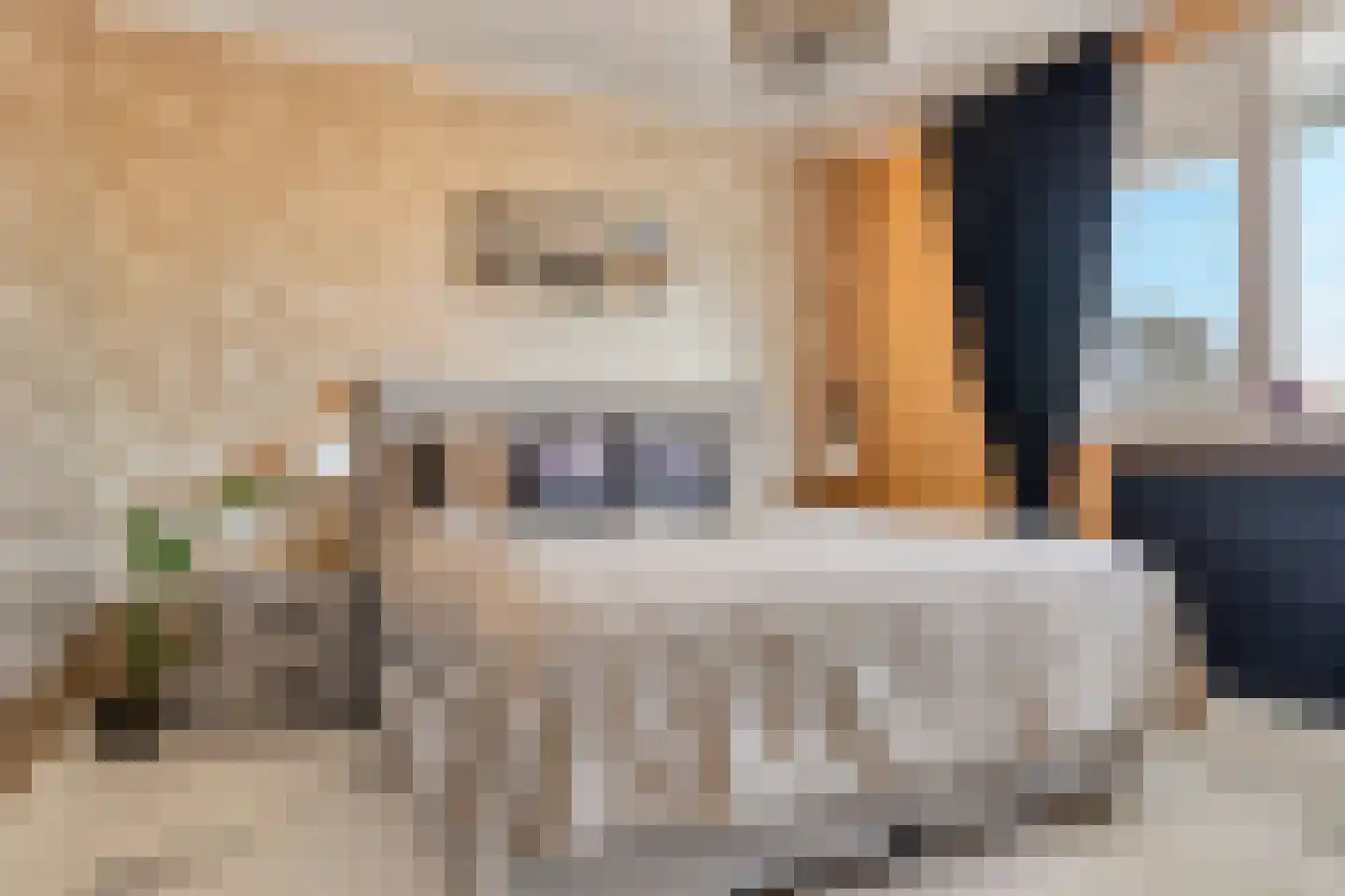 Hesselsstraat 89 's-Hertogenbosch thumbnail 17