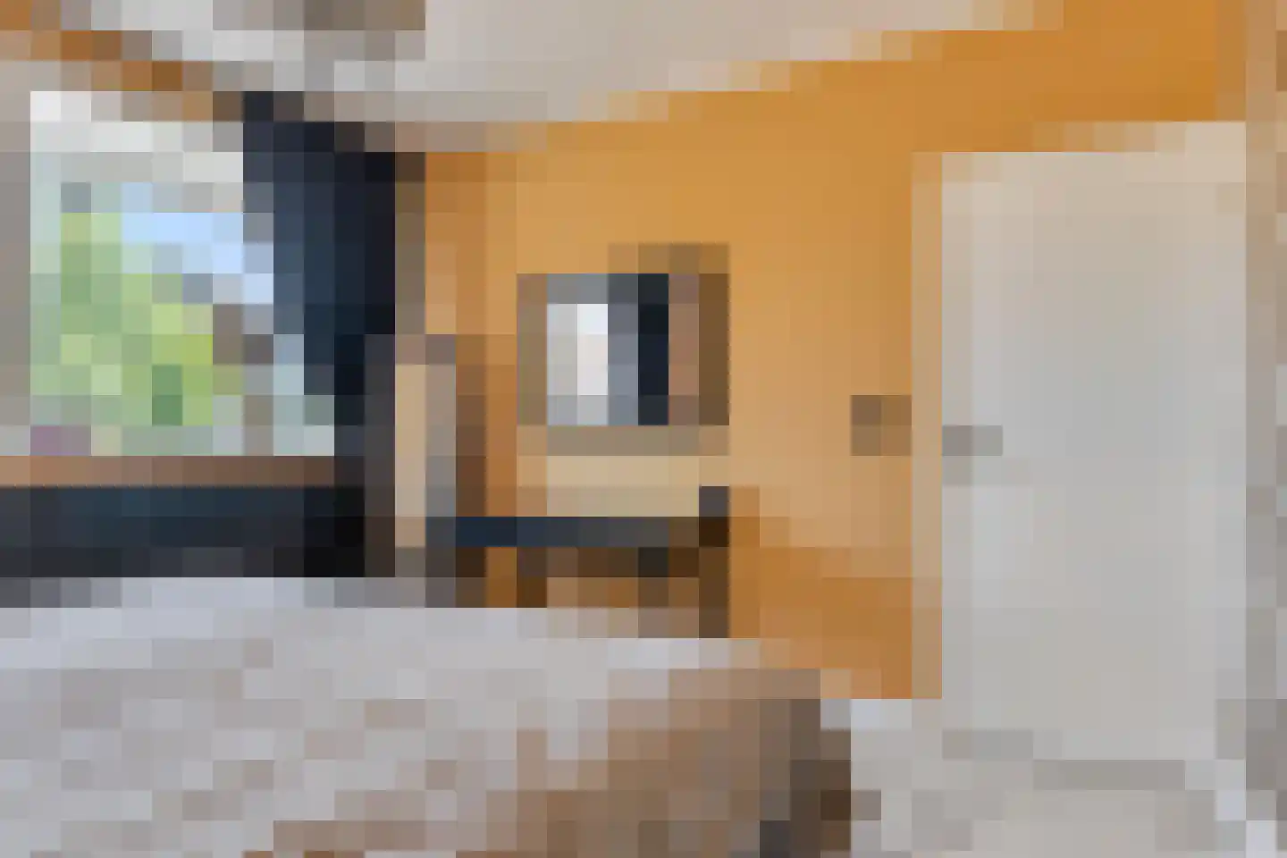 Hesselsstraat 89 's-Hertogenbosch thumbnail 18