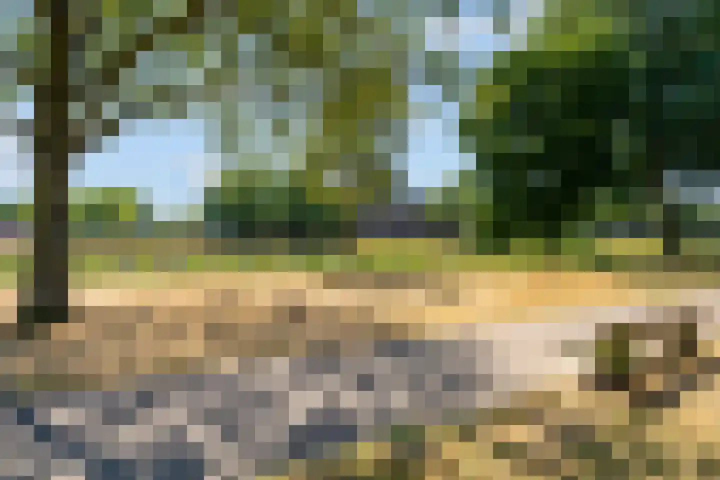 Hesselsstraat 89 's-Hertogenbosch thumbnail 30