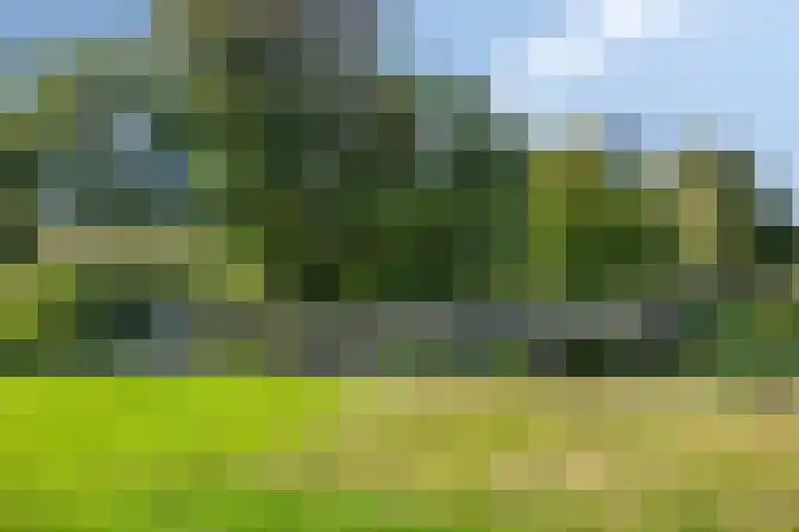 Hesselstraat 17 Heerenveen thumbnail 39