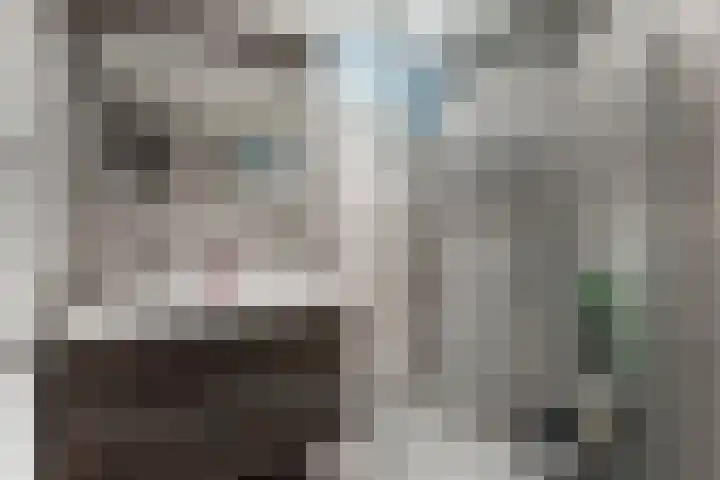 Hesselstraat 7 Heerenveen thumbnail 29