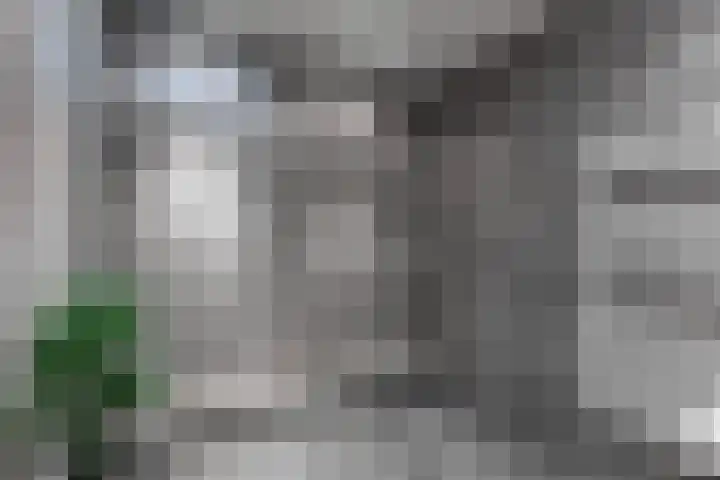 Hesselstraat 7 Heerenveen thumbnail 30