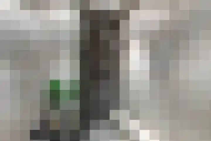 Hesselstraat 7 Heerenveen thumbnail 31