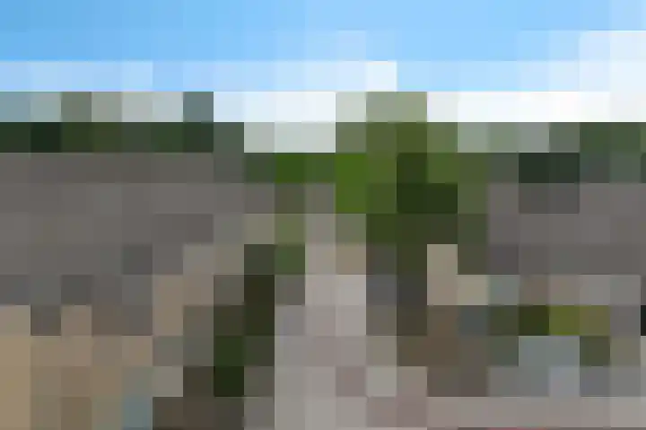 Hesselterbrink 111 Emmen thumbnail 30