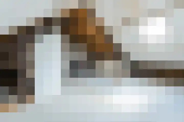 Hesselterbrink 12 Emmen thumbnail 34