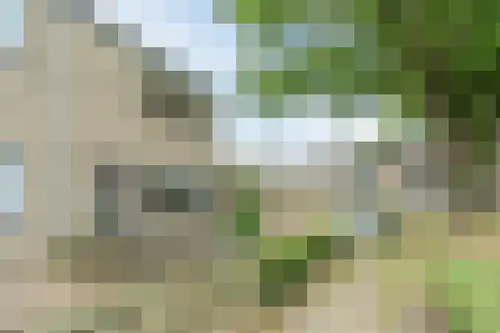 Hesselterbrink 12 Emmen thumbnail 7