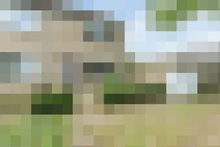 Hesselterbrink 12 Emmen thumbnail 9