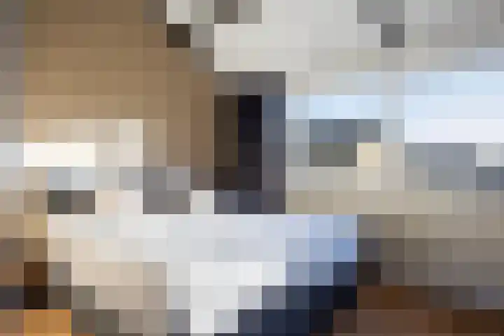 Hesselterbrink 138 Emmen thumbnail 24