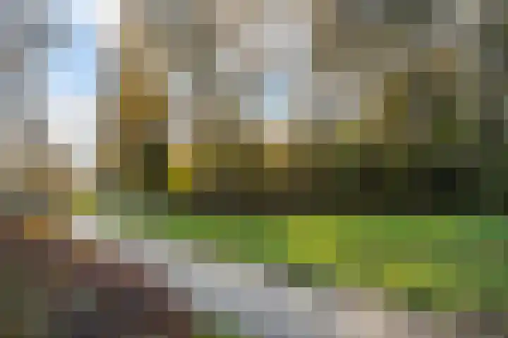 Hesselterbrink 138 Emmen thumbnail 40