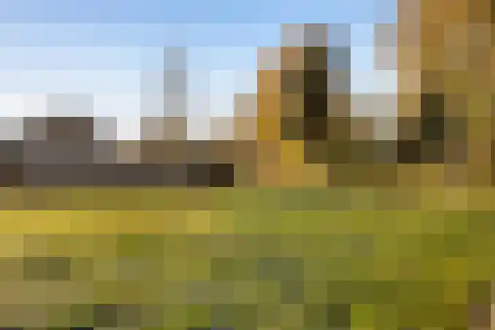 Hesselterbrink 138 Emmen thumbnail 41