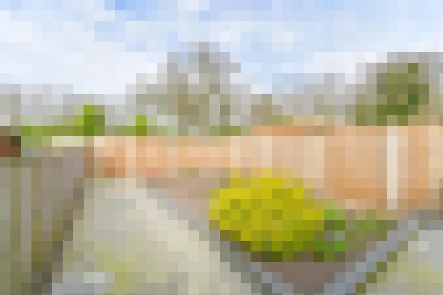 Hesselterbrink 152 Emmen thumbnail 4