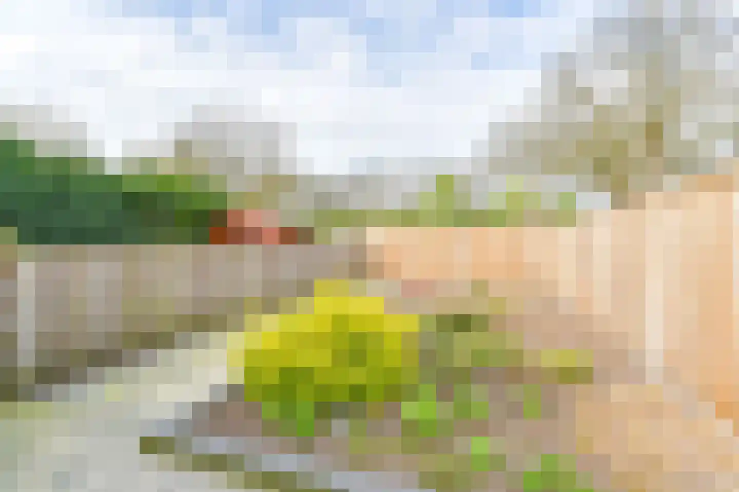Hesselterbrink 152 Emmen thumbnail 55