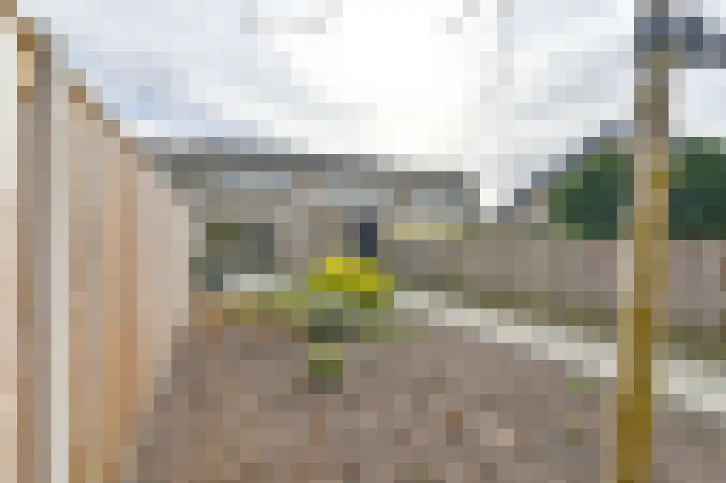 Hesselterbrink 152 Emmen thumbnail 57