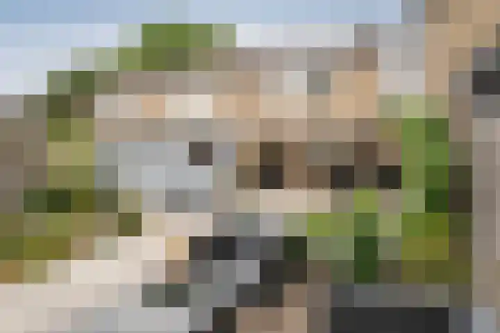 Hesselterbrink 16 Emmen thumbnail 28
