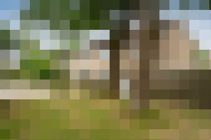 Hesselterbrink 16 Emmen thumbnail 31