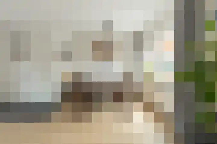 Hesselterbrink 16 Emmen thumbnail 8