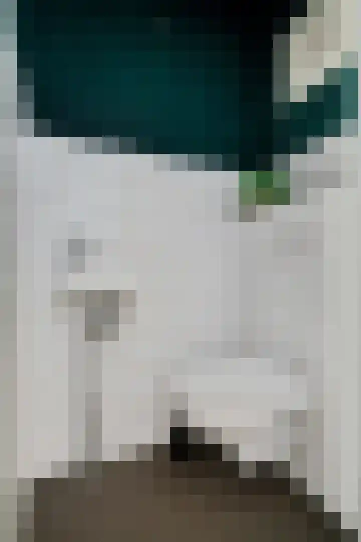 Hesselterbrink 192 Emmen thumbnail 6