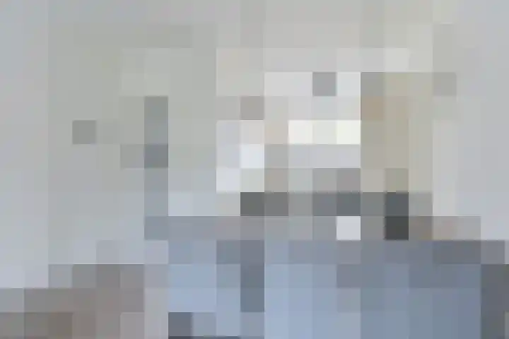Hesselterbrink 200 Emmen thumbnail 16