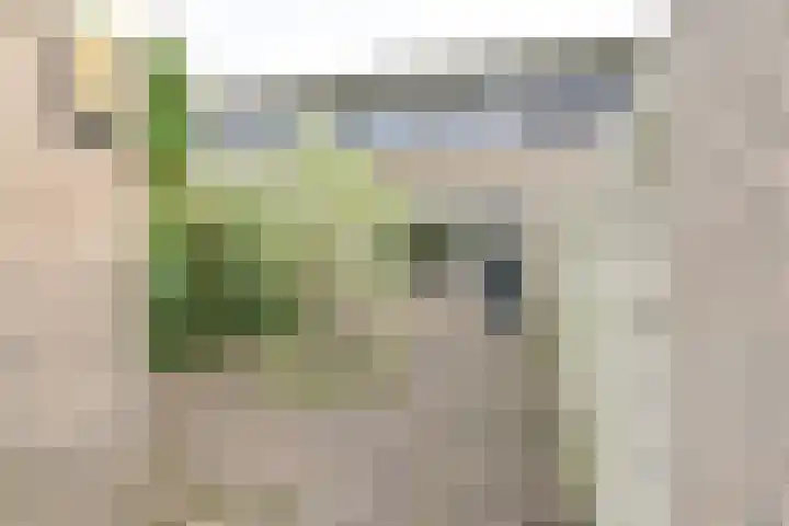 Hesselterbrink 200 Emmen thumbnail 43