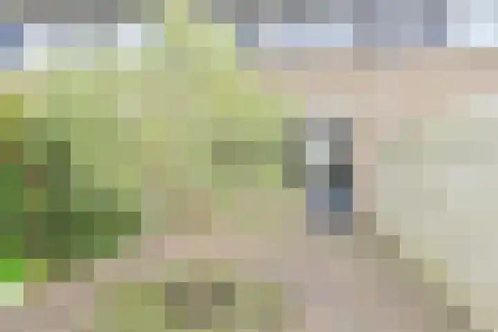 Hesselterbrink 200 Emmen thumbnail 44