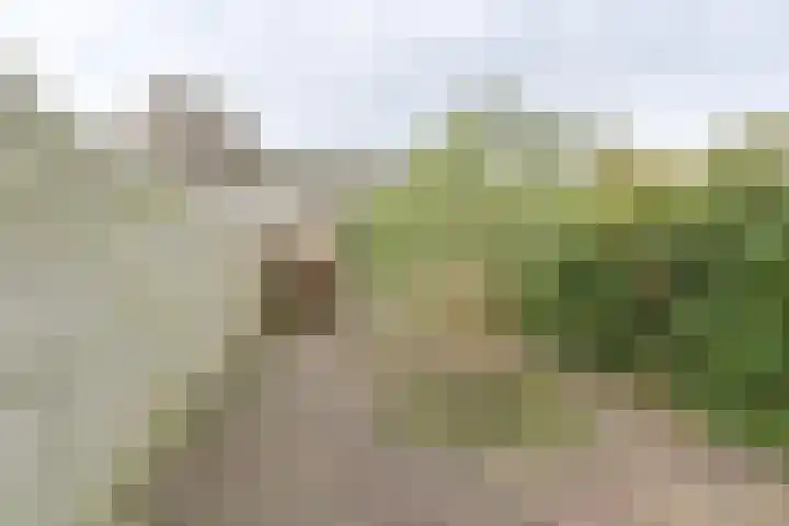 Hesselterbrink 200 Emmen thumbnail 45
