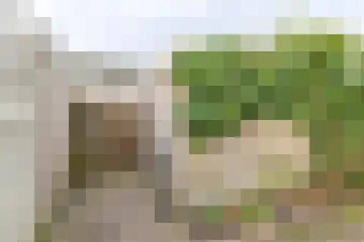 Hesselterbrink 200 Emmen thumbnail 46