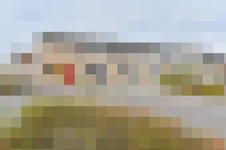 Hesselterbrink 200 Emmen thumbnail 5