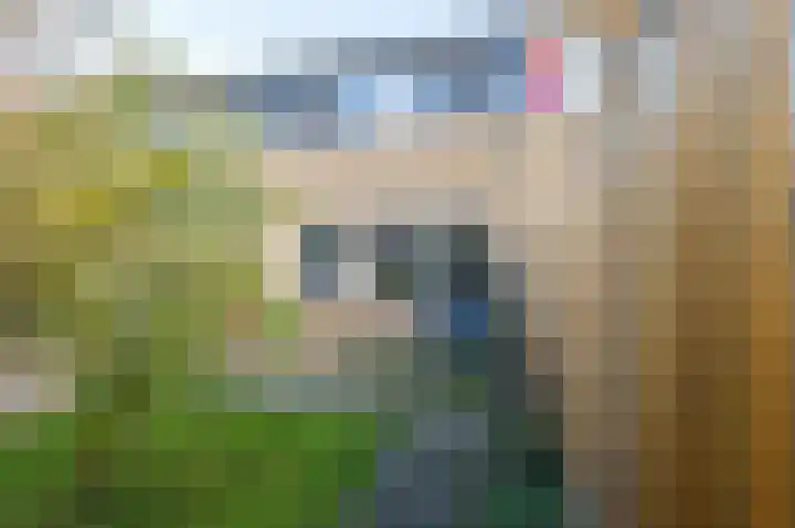 Hesselterbrink 202 Emmen thumbnail 25