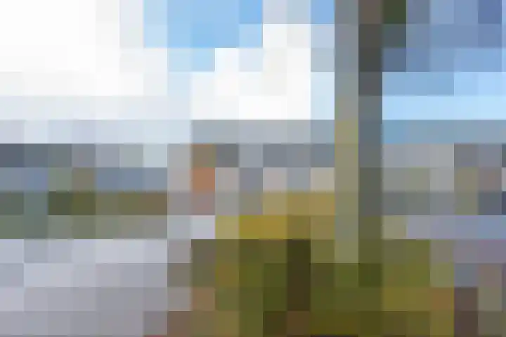 Hesselterbrink 202 Emmen thumbnail 29