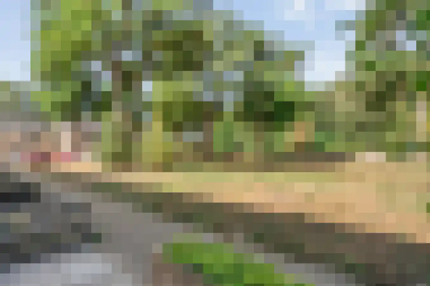 Hesselterbrink 216 Emmen thumbnail 25
