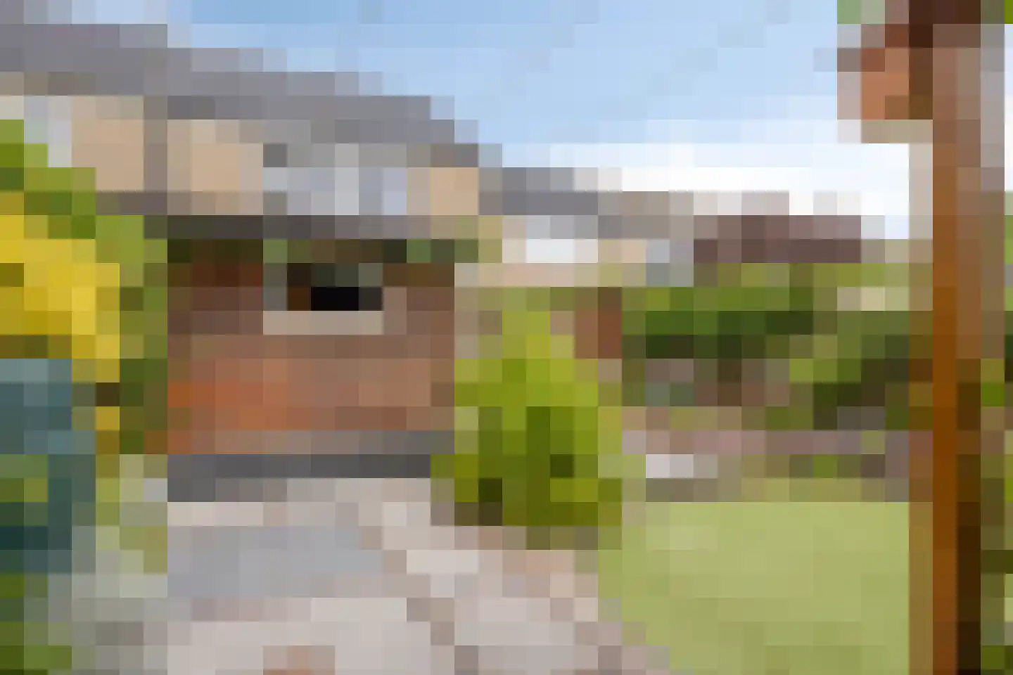 Hesselterbrink 234 Emmen thumbnail 30