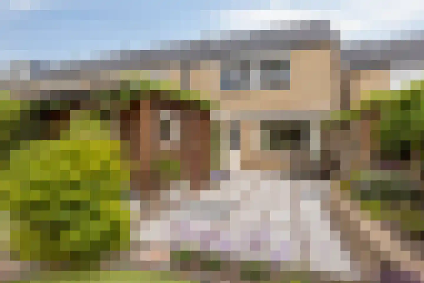 Hesselterbrink 234 Emmen thumbnail 31
