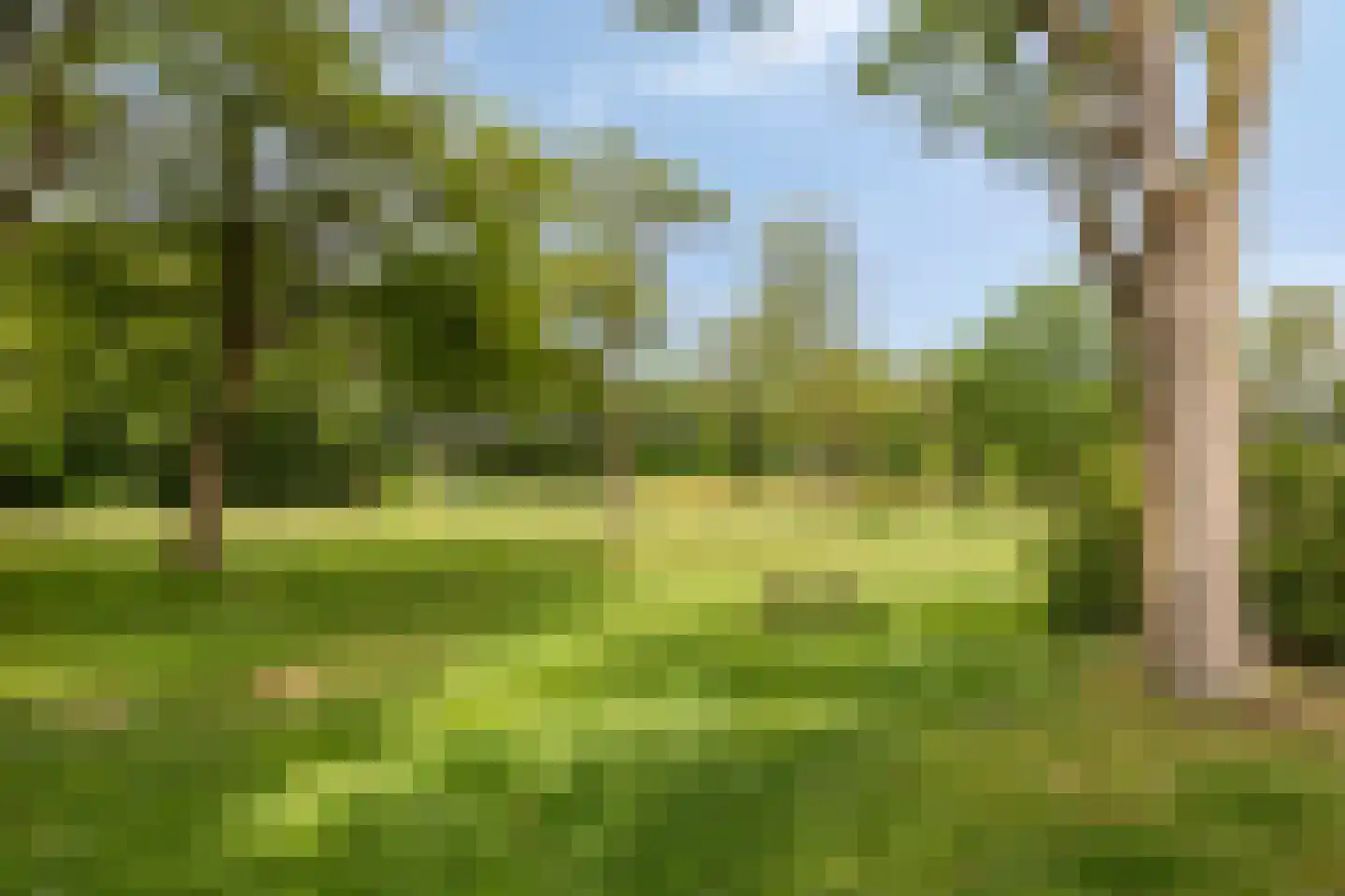 Hesselterbrink 234 Emmen thumbnail 37