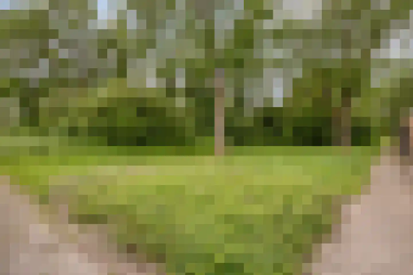 Hesselterbrink 234 Emmen thumbnail 39