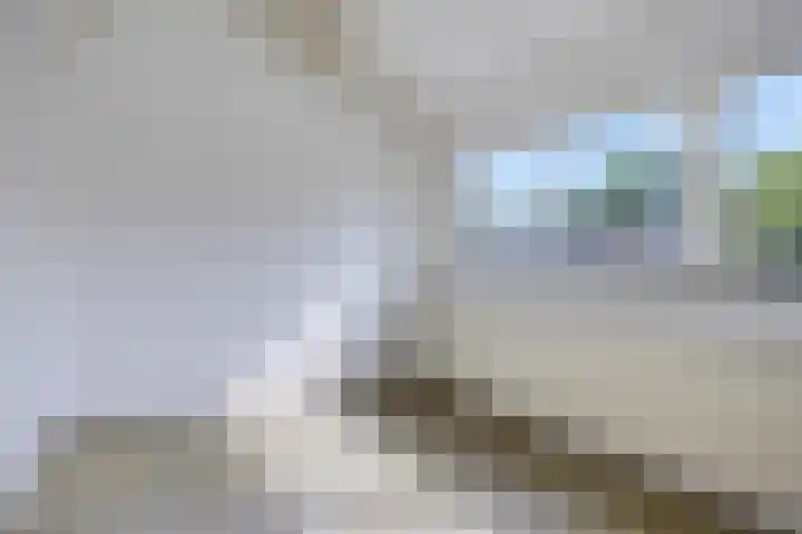 Hesselterbrink 250 Emmen thumbnail 15