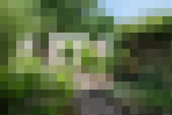 Hesselterbrink 250 Emmen thumbnail 21