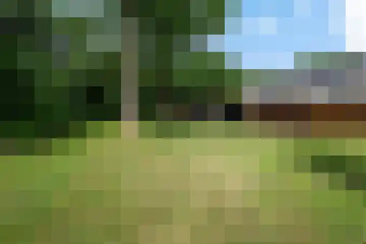 Hesselterbrink 250 Emmen thumbnail 25