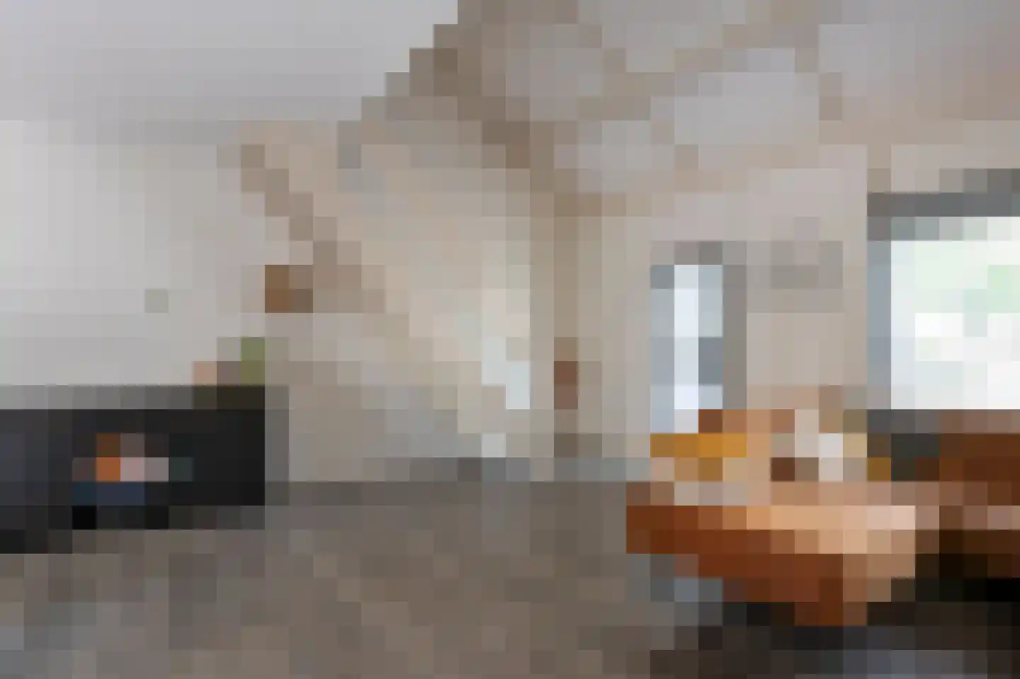 Hesselterbrink 253 Emmen thumbnail 10