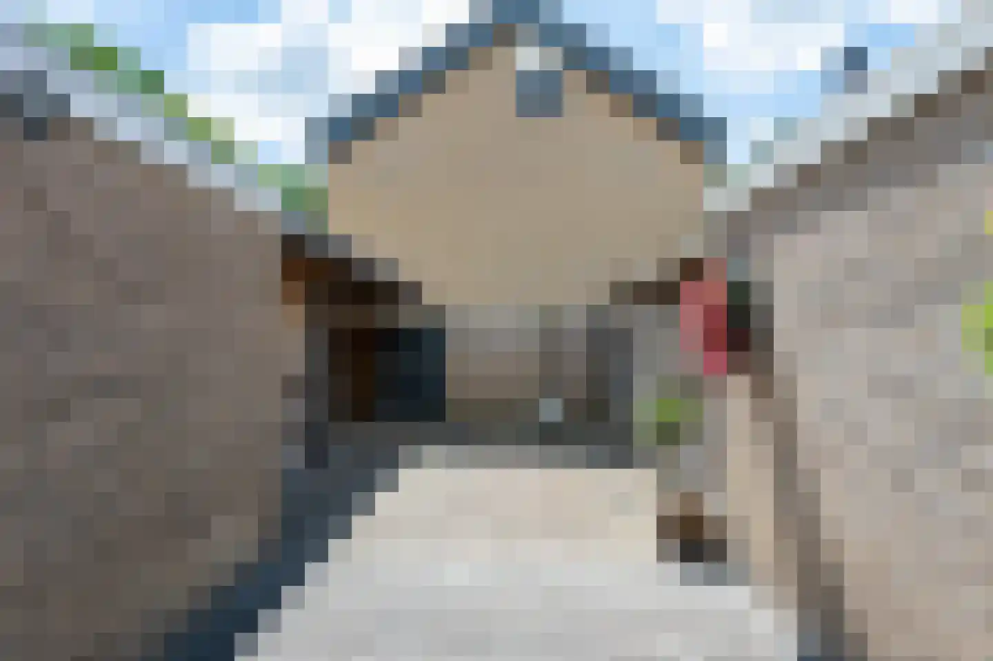 Hesselterbrink 253 Emmen thumbnail 21