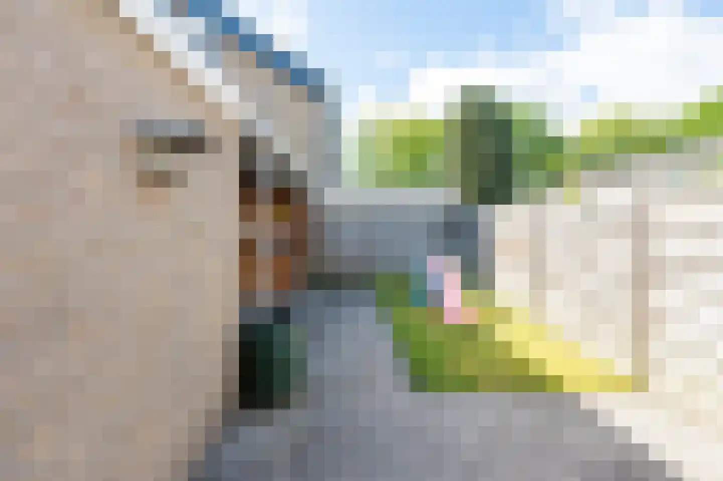 Hesselterbrink 255 Emmen thumbnail 26