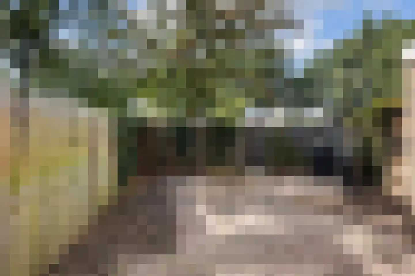 Hesselterbrink 257 Emmen thumbnail 35